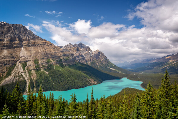 Canada. Peyto lake in Banff National Park, Alberta Picture Board by Delphimages Art