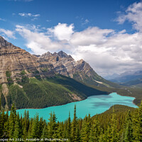 Buy canvas prints of Canada. Peyto lake in Banff National Park, Alberta by Delphimages Art