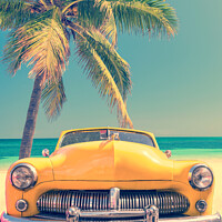 Buy canvas prints of Classic car on a tropical beach with palm tree by Delphimages Art