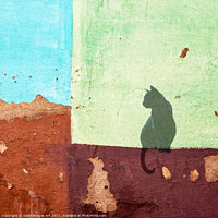 Buy canvas prints of Black cat sitting on a colourful wall in Cuba by Delphimages Art