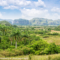 Buy canvas prints of Cuba. Panorama of Vinales Valley by Delphimages Art