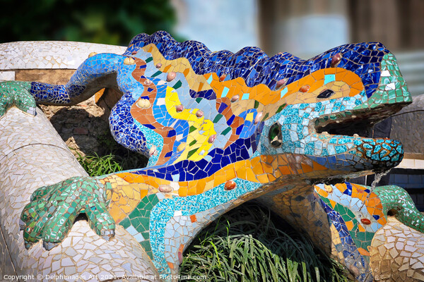 Gaudi salamander park Guell Barcelona Picture Board by Delphimages Art