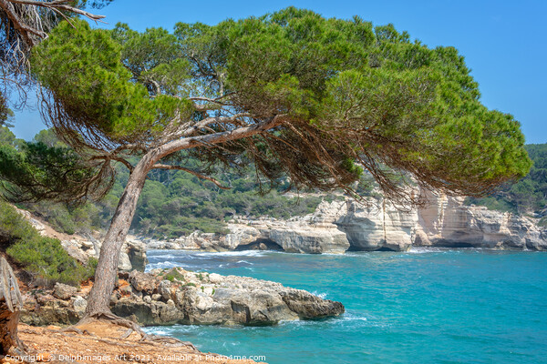 Mediterranean landscape in Menorca, Spain Picture Board by Delphimages Art