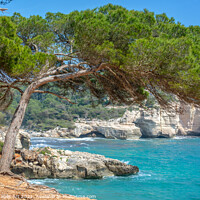 Buy canvas prints of Mediterranean landscape in Menorca, Spain by Delphimages Art