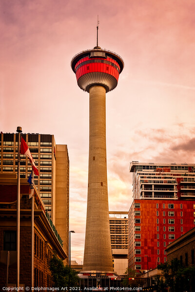 Calgary tower at sunset, Alberta, Canada Picture Board by Delphimages Art