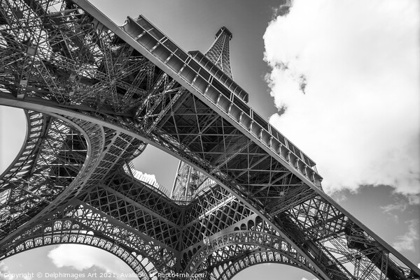 Eiffel tower in Paris, black and white Picture Board by Delphimages Art