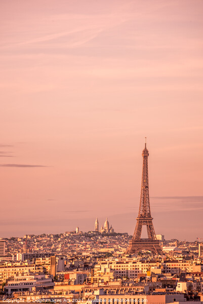 Paris scenic view with the Eiffel tower at sunset Picture Board by Delphimages Art