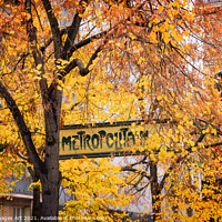 Buy canvas prints of Paris vintage metro sign in autumn by Delphimages Art