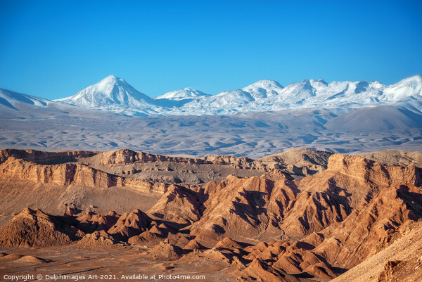 Moon Valley landscape in Atacama desert, Chile Picture Board by Delphimages Art