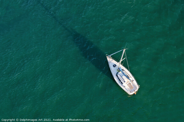 Aerial drone view of a sailing boat  Picture Board by Delphimages Art