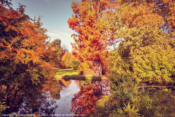 Fall foliage in France, autumnal colors landscape Picture Board by Delphimages Art
