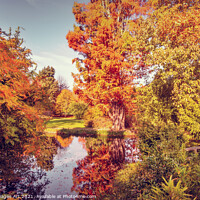 Buy canvas prints of Fall foliage in France, autumnal colors landscape by Delphimages Art
