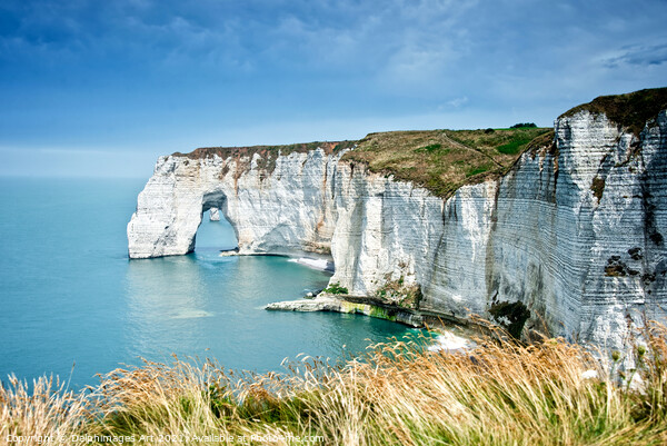 The cliff of Etretat, Normandy landscape, France Picture Board by Delphimages Art