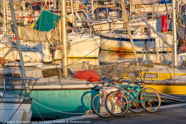 Cycling and sailing. Colourful bicycles and boats Picture Board by Delphimages Art