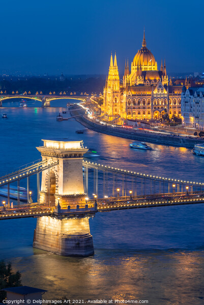 Budapest, Chain bridge over Danube river at night Picture Board by Delphimages Art