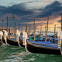 Buy canvas prints of Gondolas in Venice Saint Mark square at sunset by Delphimages Art
