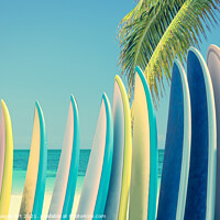 Buy canvas prints of Surfboards on a beach. Surf decor by Delphimages Art