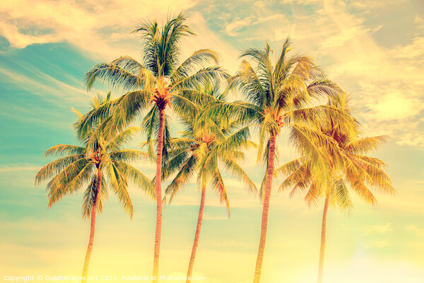 Palm trees,  summer and travel tropical decor Picture Board by Delphimages Art