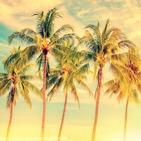 Buy canvas prints of Palm trees,  summer and travel tropical decor by Delphimages Art