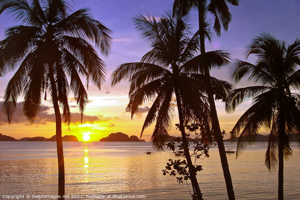Beach and palm trees at sunset , island of Palawan Picture Board by Delphimages Art