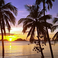 Buy canvas prints of Beach and palm trees at sunset , island of Palawan by Delphimages Art