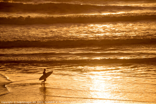 Silhouette of a surfer at sunset in the ocean Picture Board by Delphimages Art