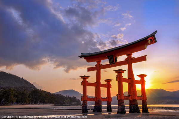 Great torii of Miyajima at sunset, Japan Picture Board by Delphimages Art