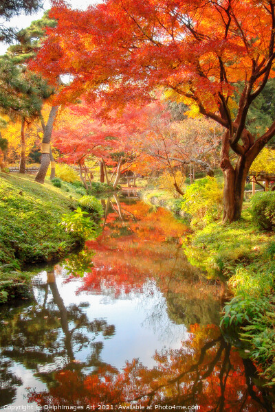 Tokyo, Japan. Foliage in a japanese garden in autu Picture Board by Delphimages Art