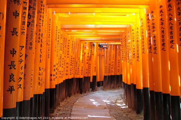 Kyoto, Japan. Torii gates at Fushimi Inari Picture Board by Delphimages Art