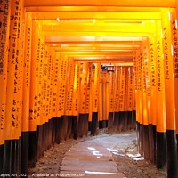 Buy canvas prints of Kyoto, Japan. Torii gates at Fushimi Inari by Delphimages Art