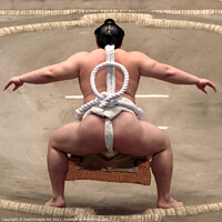 Buy canvas prints of Yokozuna sumo wrestler  in Tokyo Japan by Delphimages Art