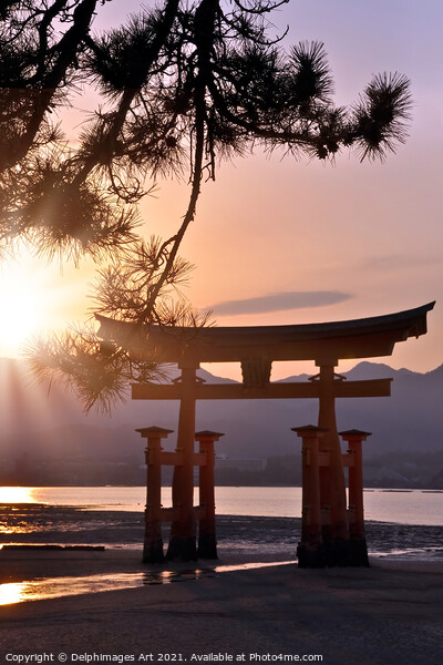 Japan. Great torii of Miyajima in the sunset Picture Board by Delphimages Art