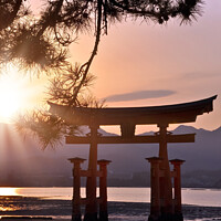 Buy canvas prints of Japan. Great torii of Miyajima in the sunset by Delphimages Art