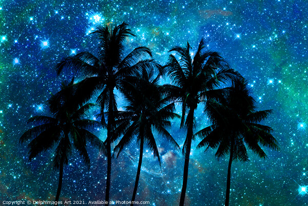 Palm trees silhouettes, tropical starry night sky Picture Board by Delphimages Art
