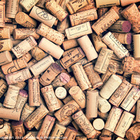 Buy canvas prints of Collection of french wine corks, still life by Delphimages Art