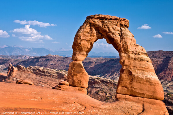 Delicate Arch, Arches National Park, Utah USA Picture Board by Delphimages Art