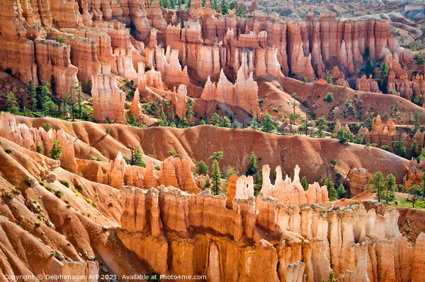 Bryce canyon national park, Utah. Sunrise point Picture Board by Delphimages Art