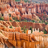 Buy canvas prints of Bryce canyon national park, Utah. Sunrise point by Delphimages Art