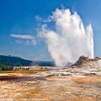 Buy canvas prints of Castle Geyser in Yellowstone National Park, USA by Delphimages Art