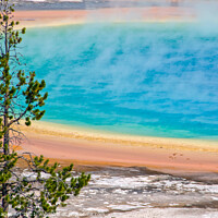 Buy canvas prints of Yellowstone. Grand Prismatic spring by Delphimages Art