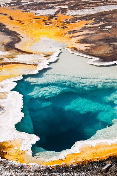 Yellowstone National Park. Colourful hot spring Picture Board by Delphimages Art