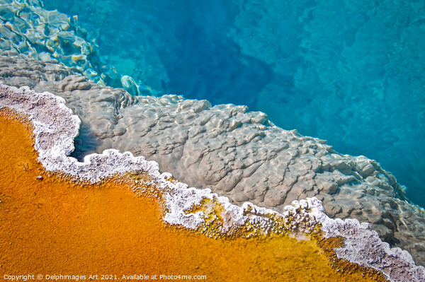 Yellowstone pool, detail of a hot spring Picture Board by Delphimages Art