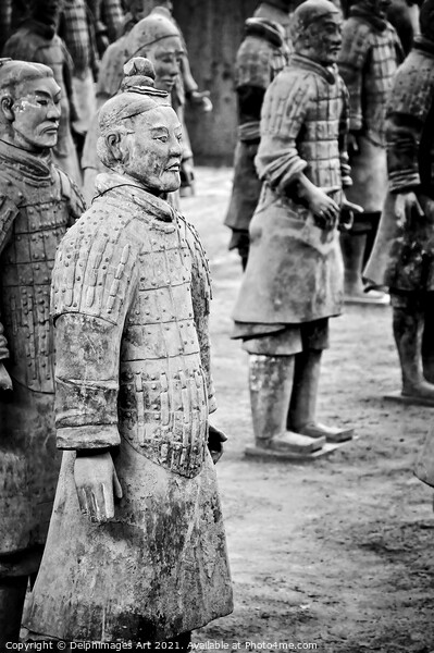 Terracotta soldiers army in Xian, China Picture Board by Delphimages Art