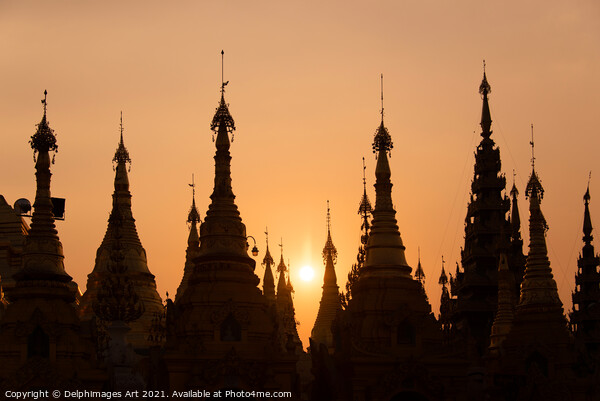 Myanmar. Shwedagon pagoda at sunset, Yangon Picture Board by Delphimages Art