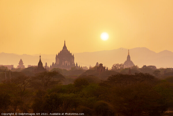 Myanmar landscape. Sunset in Bagan, Burma Picture Board by Delphimages Art