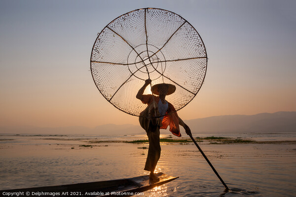 Myanmar. Fisherman at sunset on Inle lake, Burma Picture Board by Delphimages Art