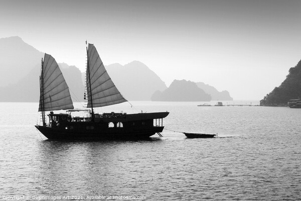 Junk in Halong Bay, Vietnam, black and white Picture Board by Delphimages Art