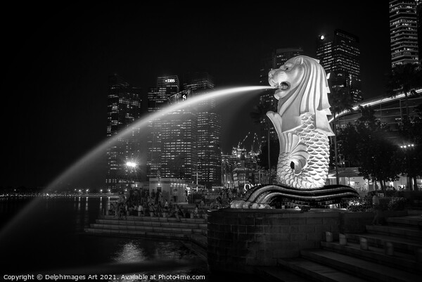 Singapore Merlion fountain, black and white Picture Board by Delphimages Art