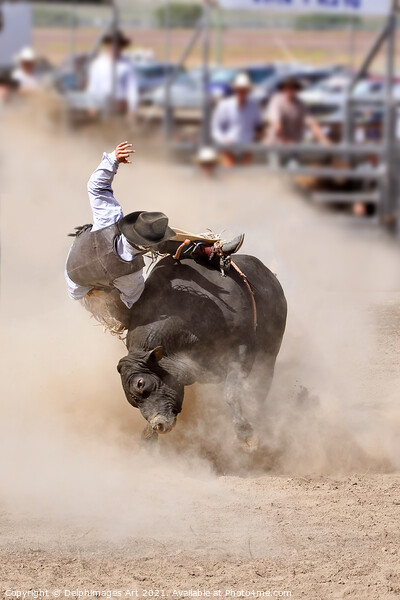 Rodeo bull riding cowboy Picture Board by Delphimages Art