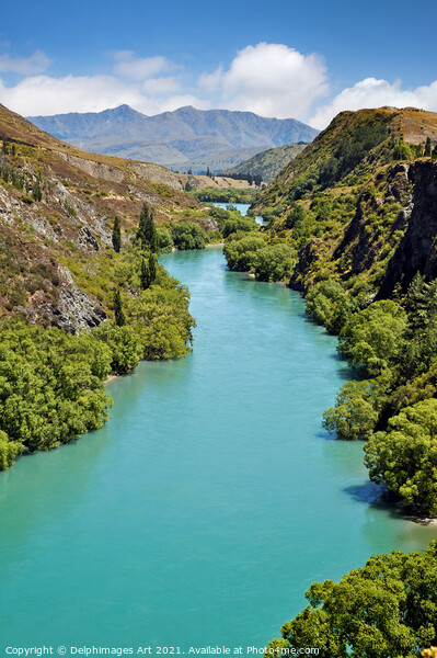 New Zealand landscape. Kawarau river Picture Board by Delphimages Art